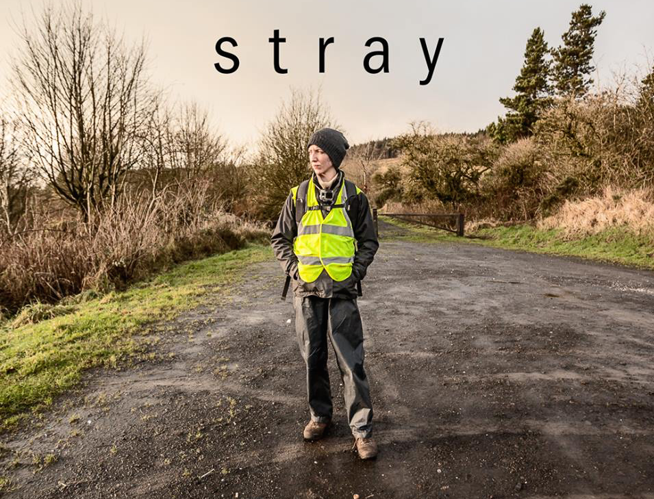 Grove Vets – Stray Campaign