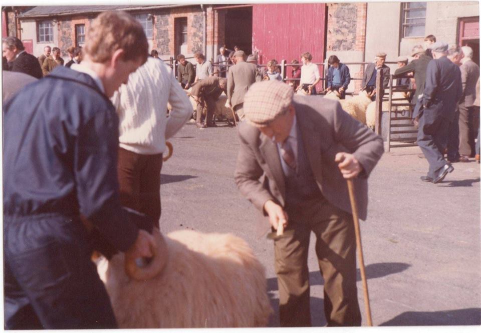 Farming in Ballymena