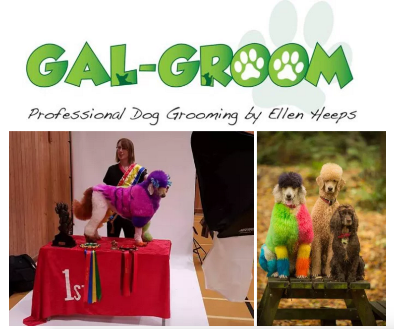 Gal-Groom win at Extraordinary Grooming Show