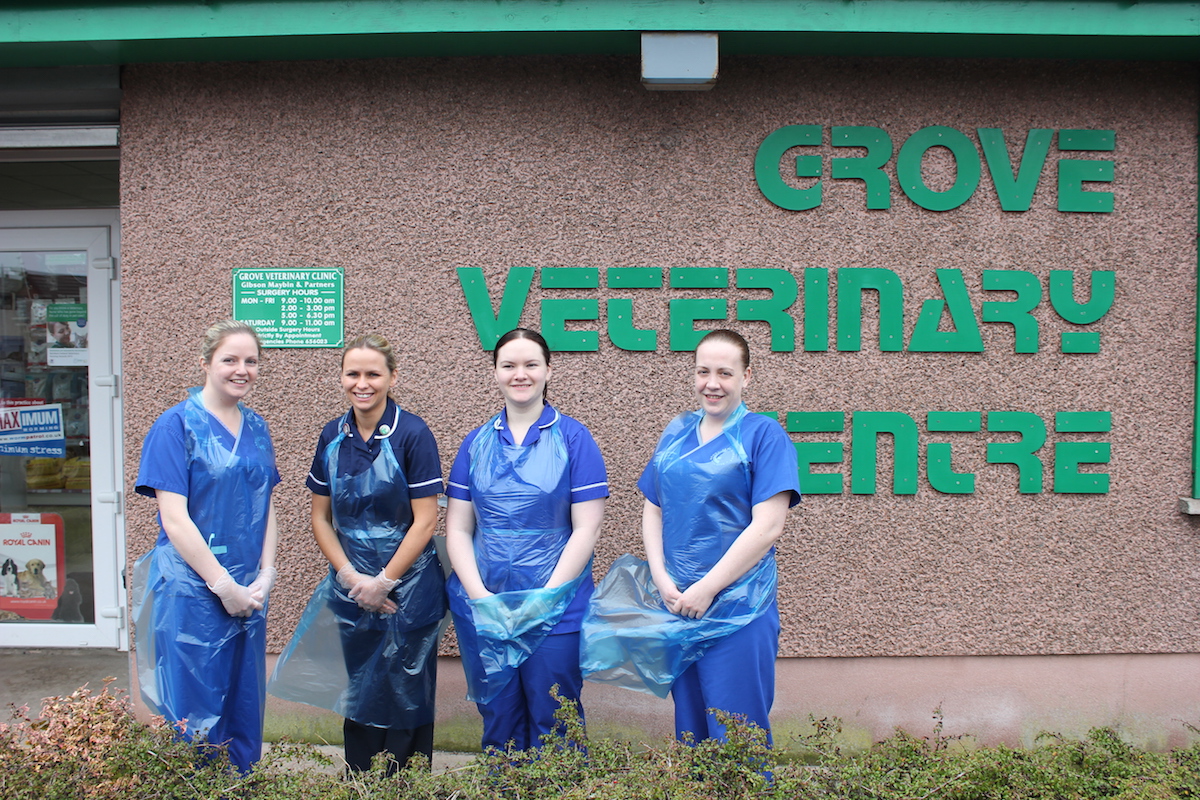 Ballymena Vets feature in the Irish News