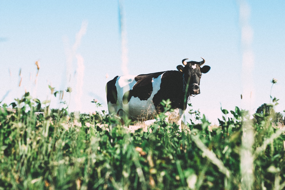 Farm Safety Week – Ballymena