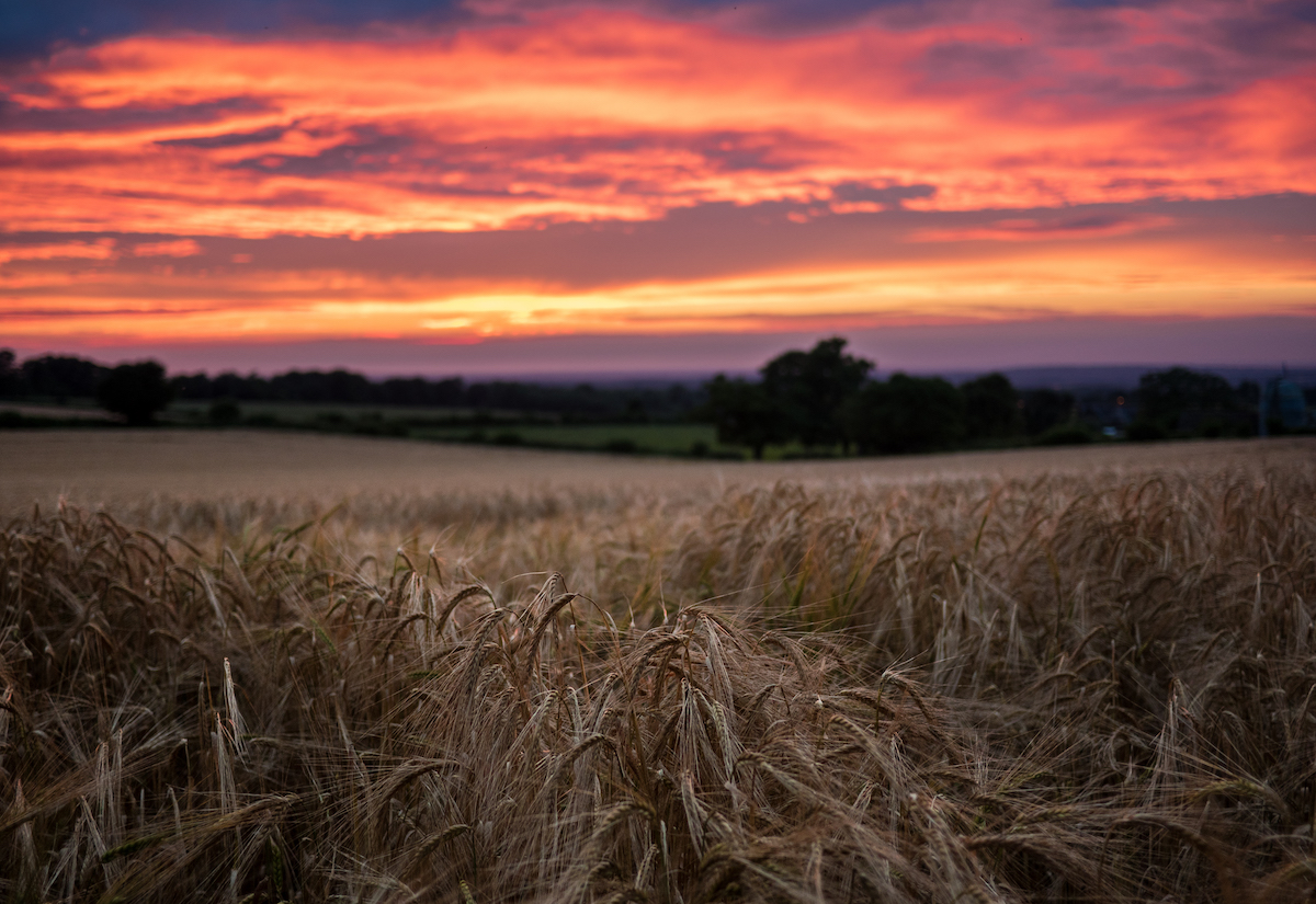 Rural Broadband Scheme - Northern Ireland