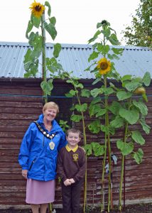 tallest_sunflower_2016_-_mayor__james_brown_kerr