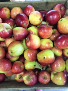 Apple Cider Vinegar - Slemish Market Garden