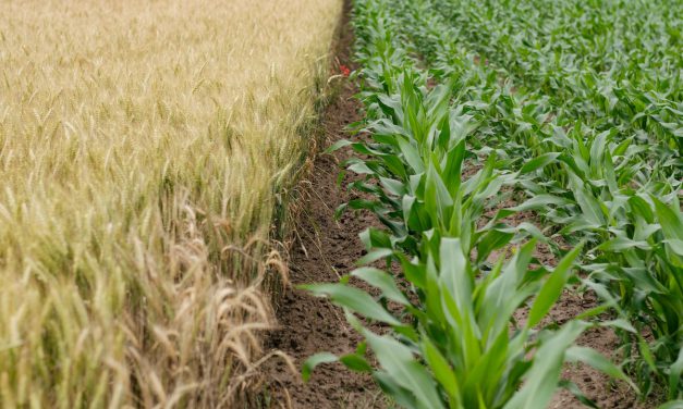 Information night on Brexit and the future of farming