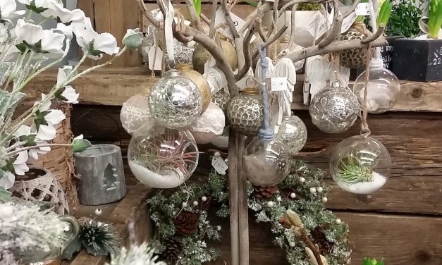 Christmas in Ballymena – Sally’s Florist