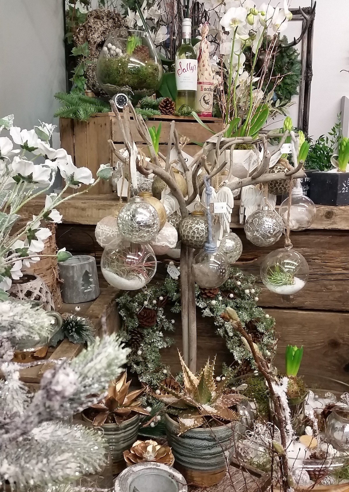 Christmas in Ballymena - Sally's Florist