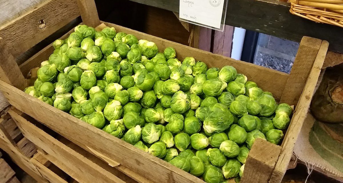 Christmas in Ballymena – Slemish Market Garden