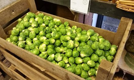 Christmas in Ballymena – Slemish Market Garden