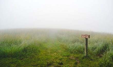 Farm Safety in the winter