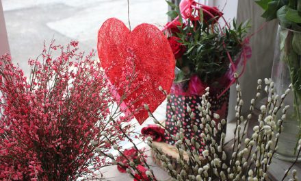 Valentines Day Ballymena – Sally’s Florist