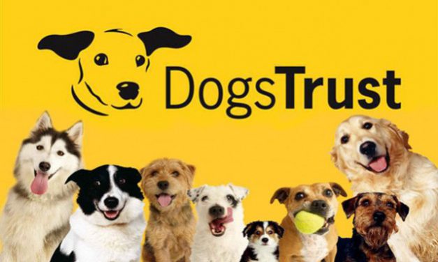 Dogs Trust Ballymena Based Microchipping Unit