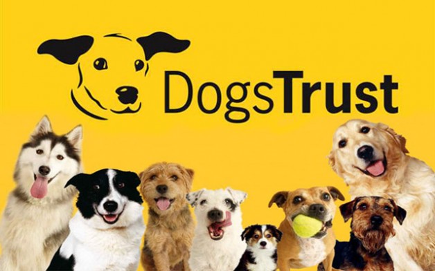 Dogs Trust Ballymena Based Microchipping Unit