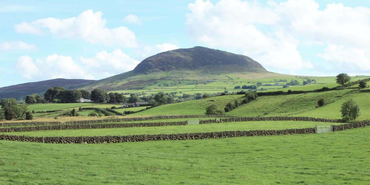 St Patrick’s Family Fun Day In Broughshane