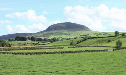 St Patrick’s Family Fun Day In Broughshane