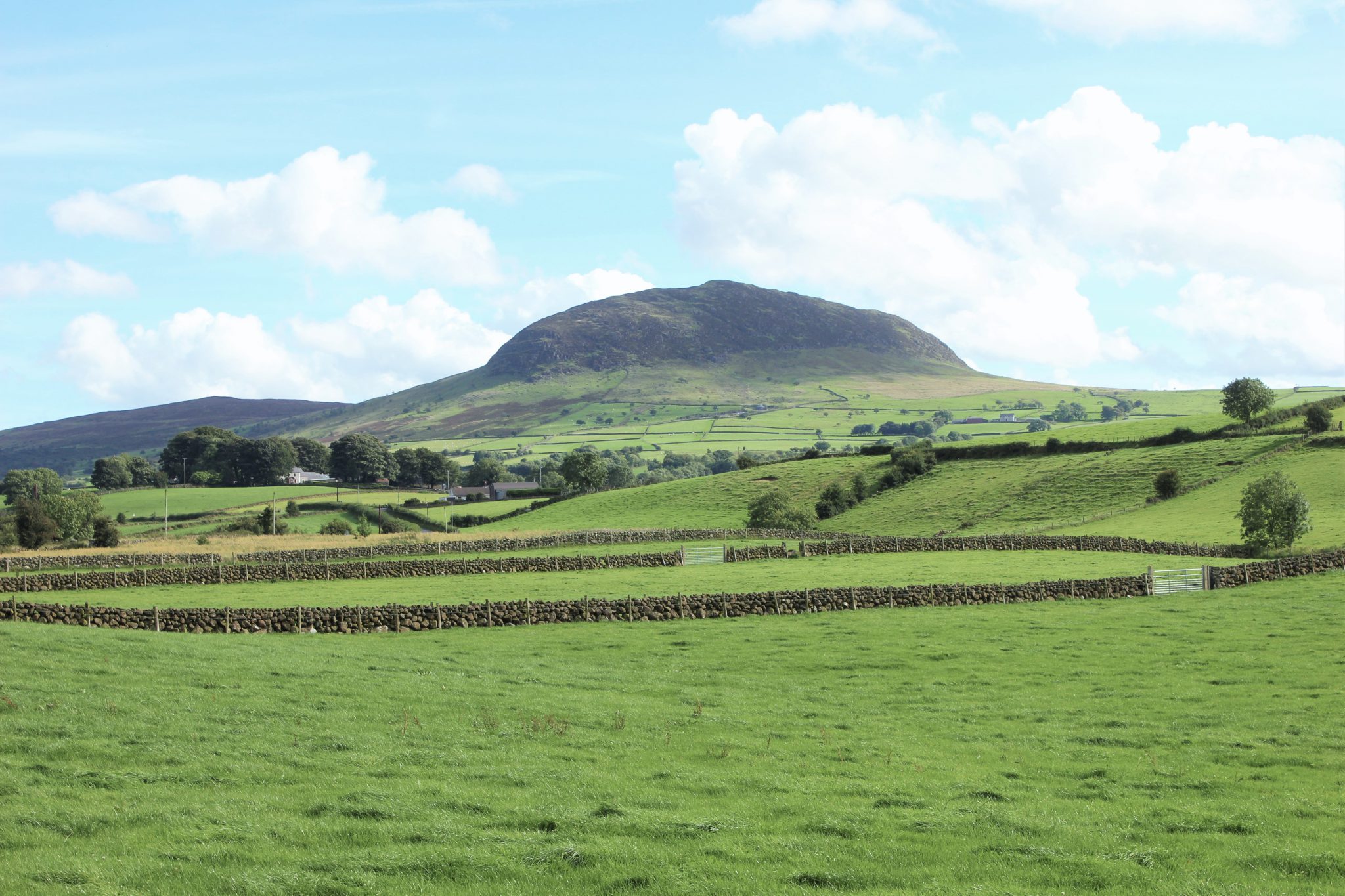 St Patrick’s Family Fun Day In Broughshane