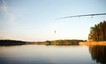 Fishing – Ballymena
