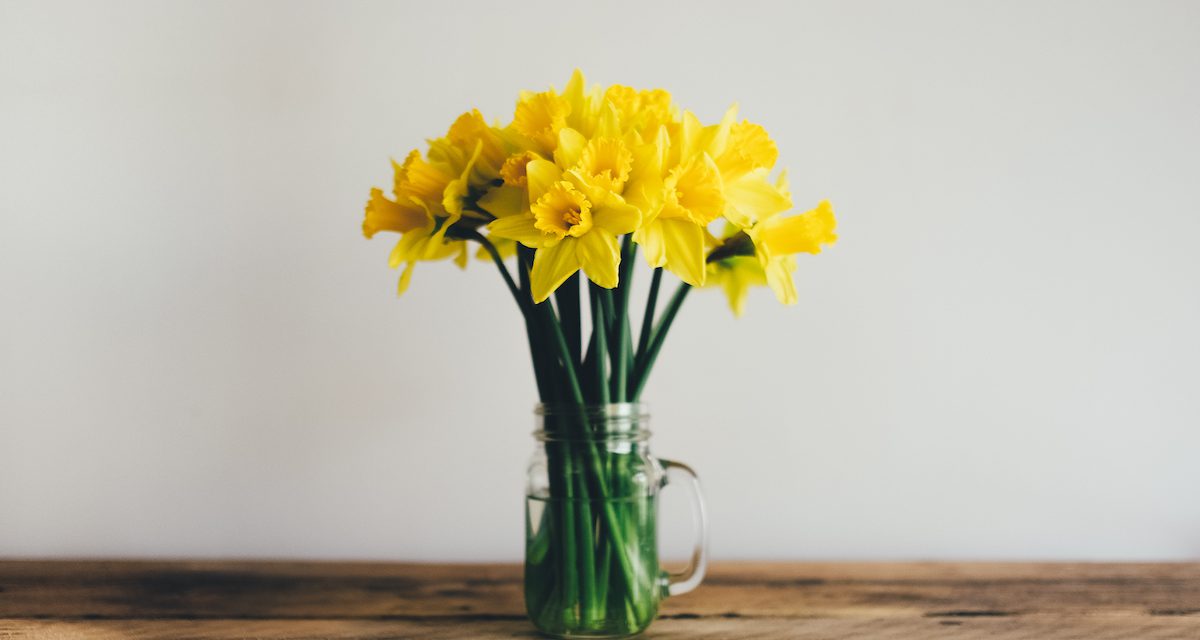 Spring is here – 3 quick ways to fake Spring Cleaning