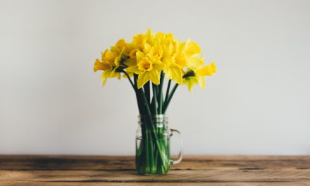 Spring is here – 3 quick ways to fake Spring Cleaning