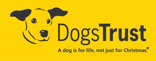 Extended Walking Area at Dogs Trust Ballymena