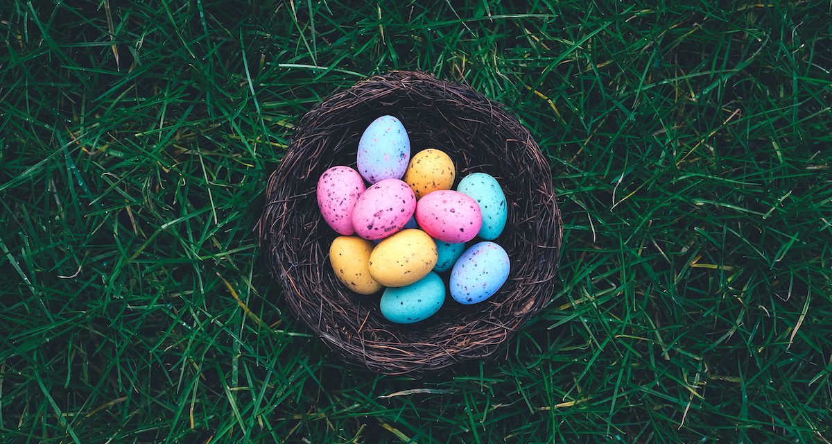 Grove Vets Ballymena – Don’t share your Easter Egg with your dog