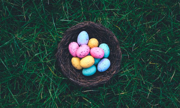 Grove Vets Ballymena – Don’t share your Easter Egg with your dog