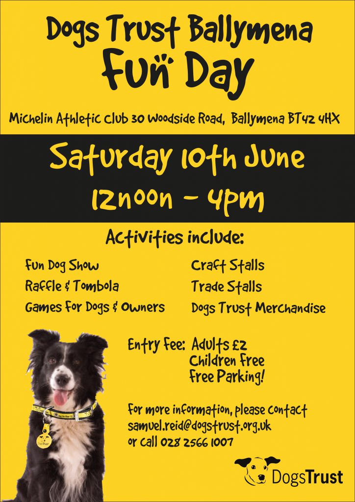 Dogs Trust Ballymena Fun Day 2017