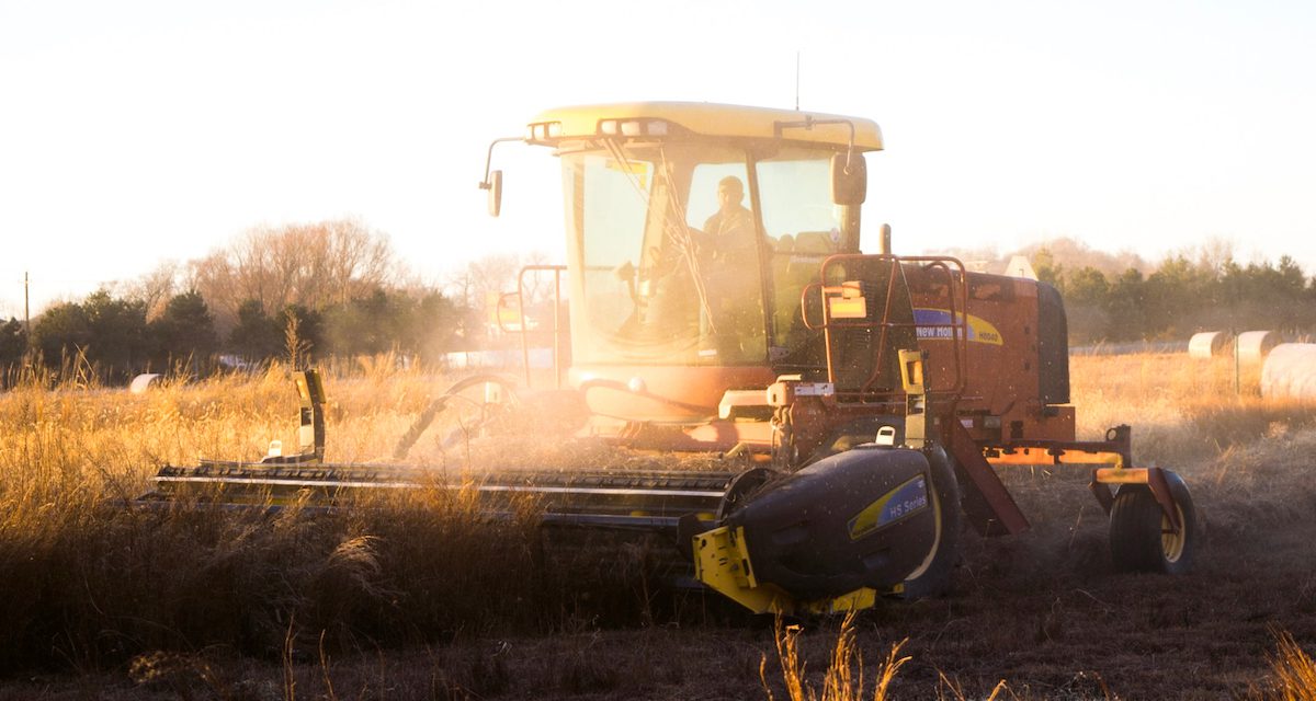 Help us stamp out rural crime – Farming Ballymena