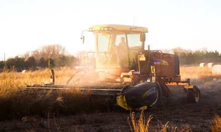 Help us stamp out rural crime – Farming Ballymena