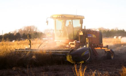 Help us stamp out rural crime – Farming Ballymena