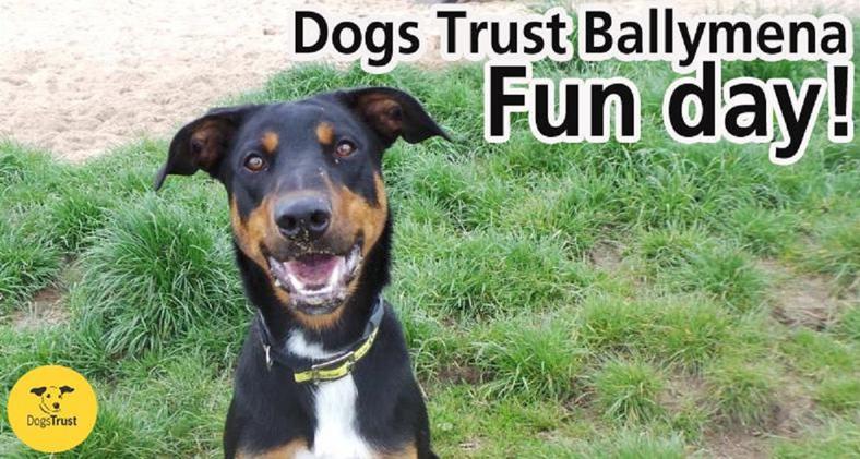Dogs Trust Fun Day Ballymena 2017