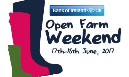 Local Ballymena Farms – Open Farm Weekend