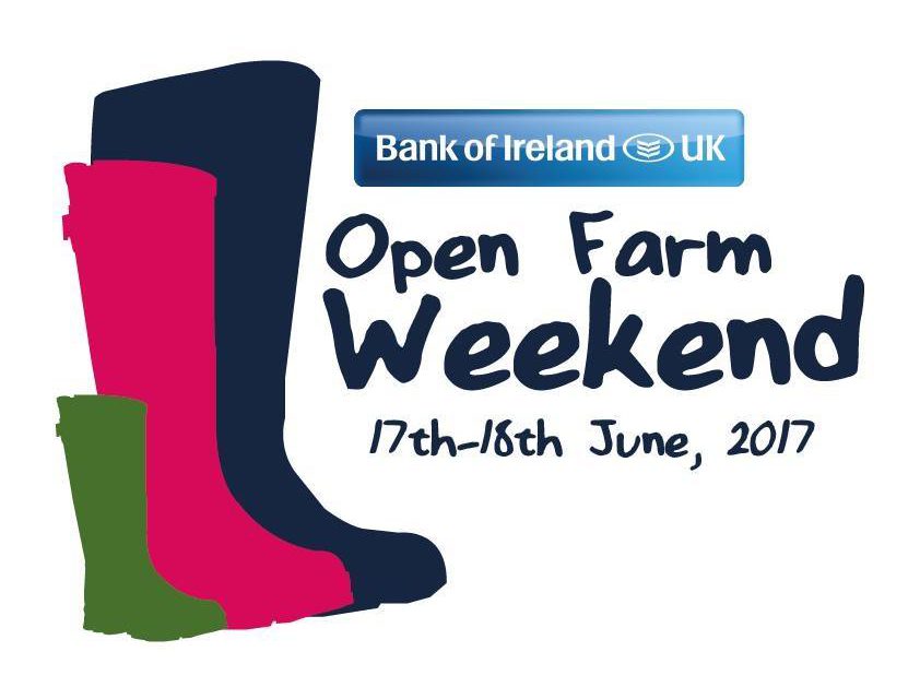 Local Ballymena Farms – Open Farm Weekend
