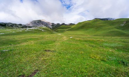 Environmental Farming Scheme Wider Level – Deadline