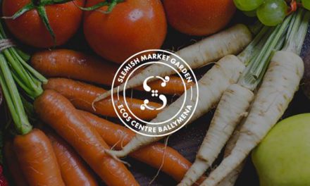 Garlic – Slemish Market Garden Ballymena