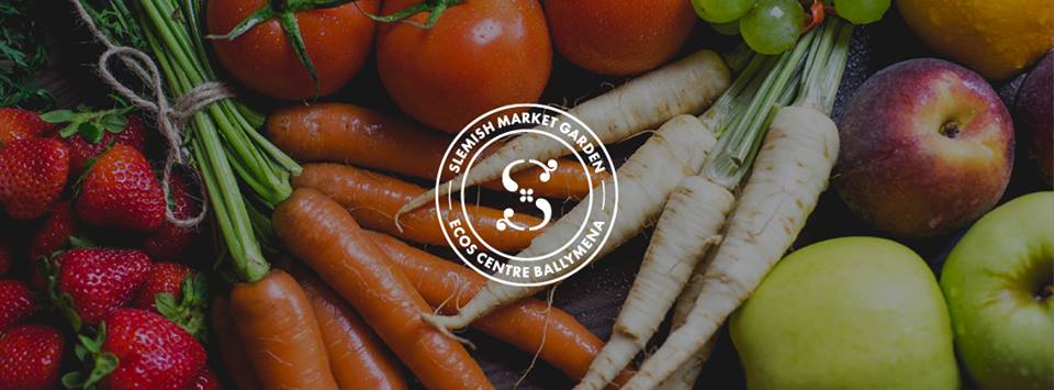 Garlic – Slemish Market Garden Ballymena