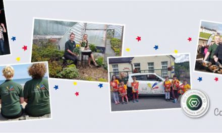 Lidl Community Works Ballymena – Vote now