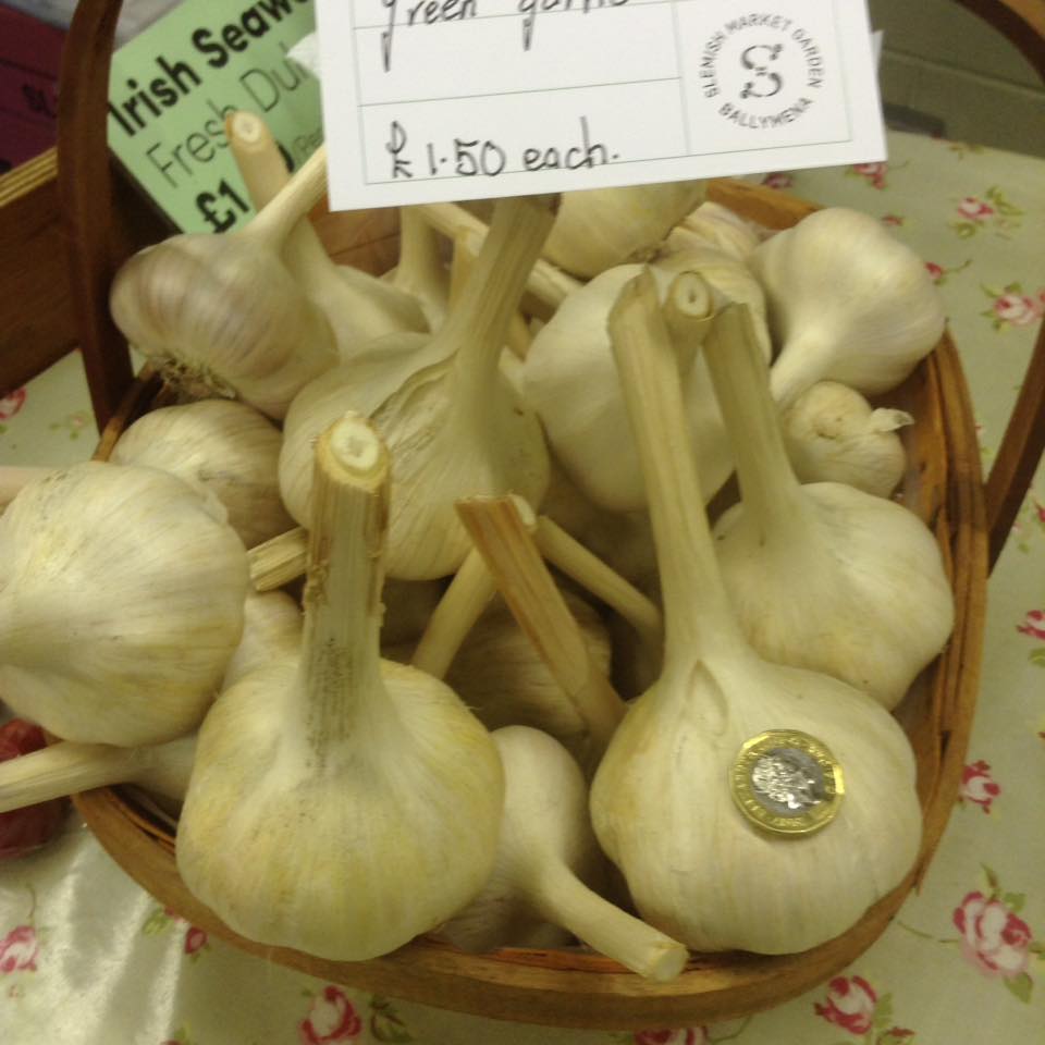 Garlic - Slemish Market Garden Ballymena