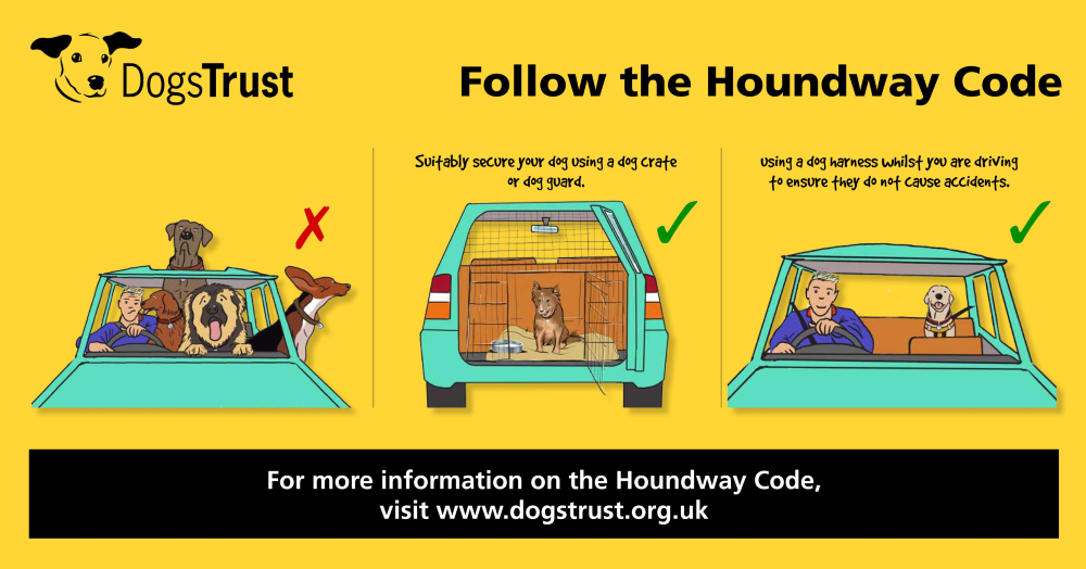 The Houndway Code Road Safety Campaign