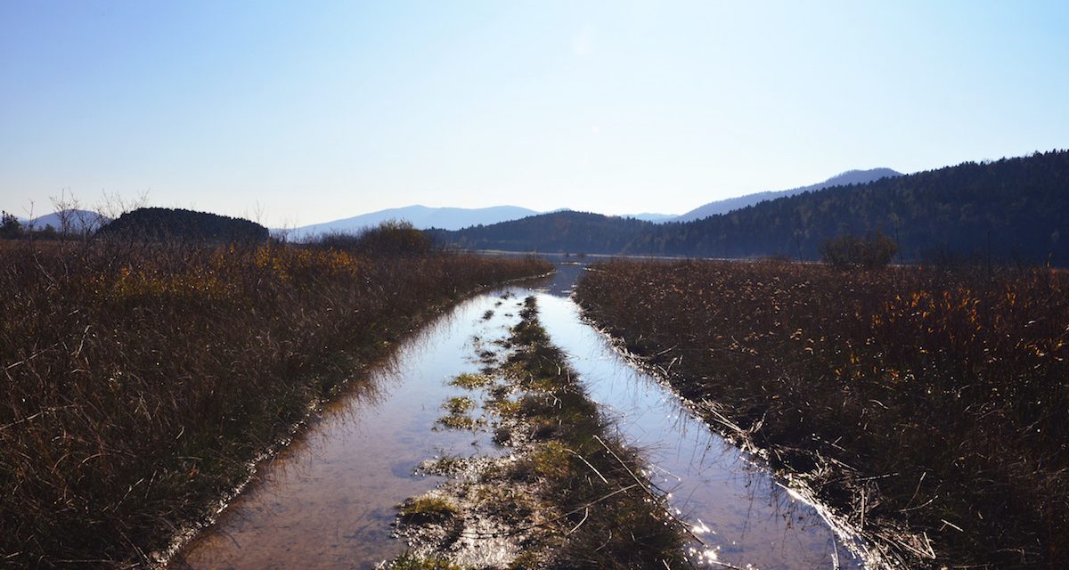 Flood Advice for Farms