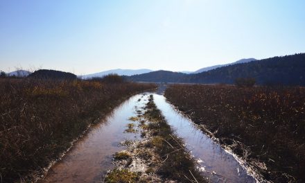 Flood Advice for Farms