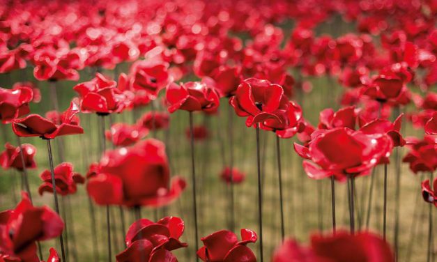 Weeping Window – Ulster Museum Belfast