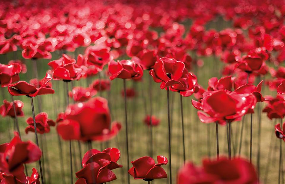 Weeping Window – Ulster Museum Belfast