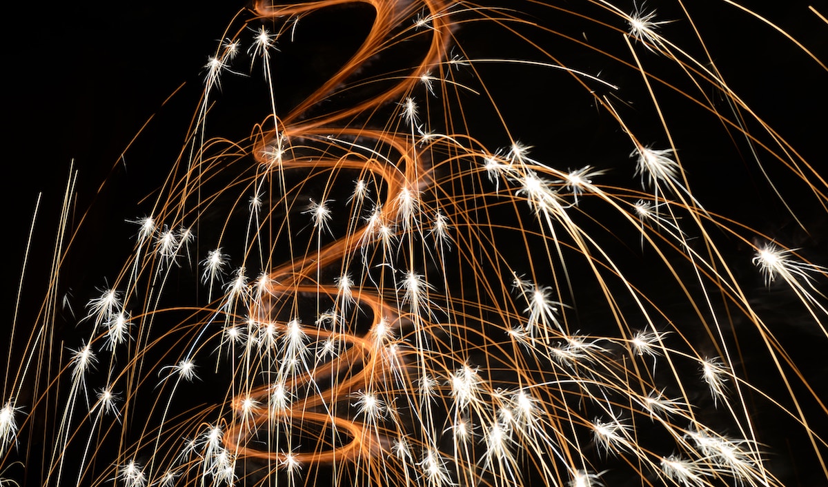 Grove Vets give us advice on Fireworks and your pet Grove Vets give us advice on Fireworks and your pet