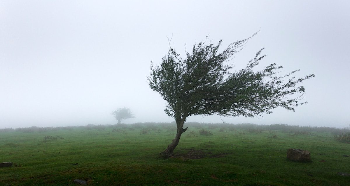 Hurricane Ophelia Help – Ballymena Today