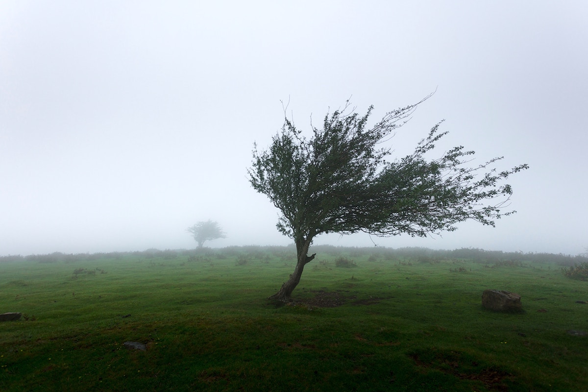 Hurricane Ophelia Help - Ballymena Today Hurricane Ophelia Help - Ballymena Today