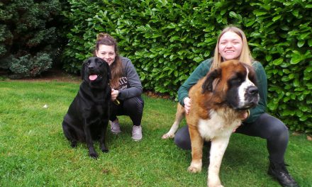 Twice The Love is Needed at Dogs Trust Ballymena