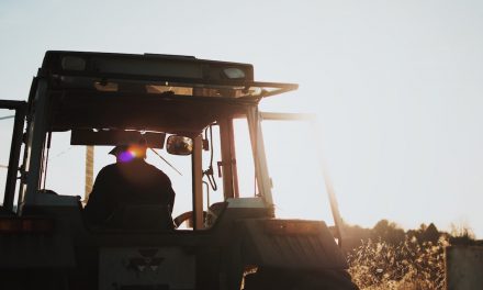 Calling all Ballymena Farmers – BBC 2 needs you