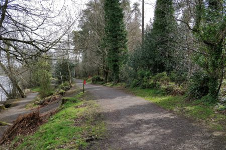 May is National Walking Month