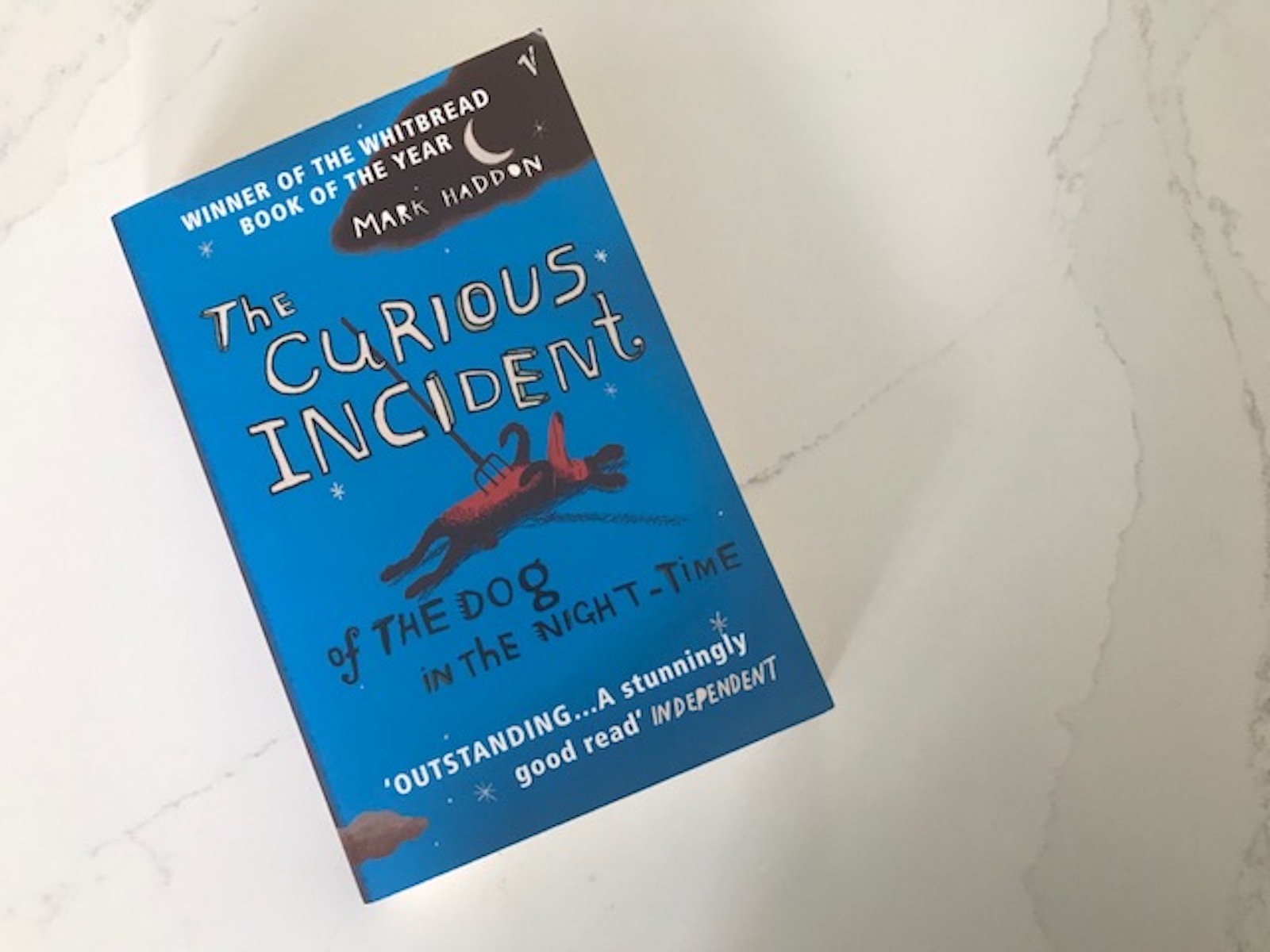 Ballymena Today Bookclub – Curious Incident of the Dog in the Night-time